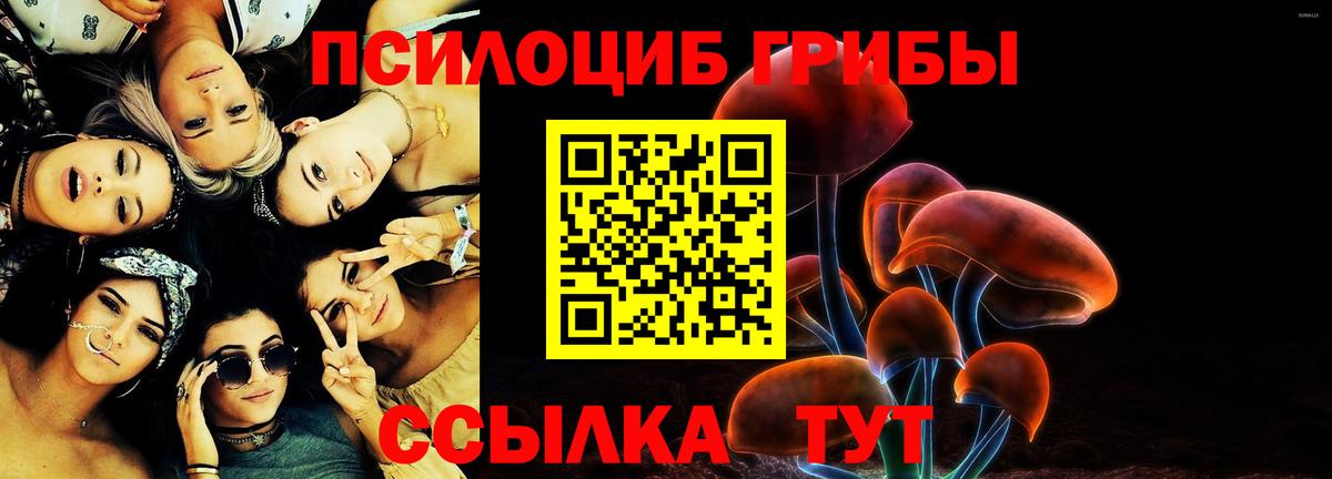 Галлюциногенные грибы Cubensis  как найти наркотики  Вход с VPN  Сегежа  Псилоцибиновые грибы Cubensis 